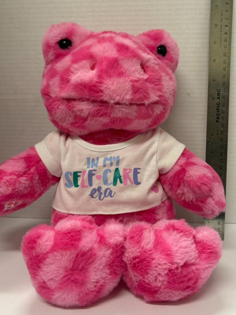 Build A Bear Pink Checker Frog~Leaps Of Love~Valentines~Self Care Era t-Shirt